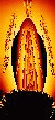 Guadalupe